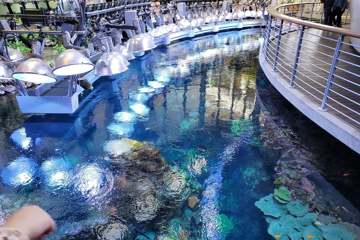 California Academy of Sciences - Gallery Image 3